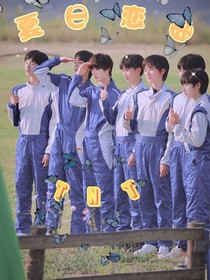 TF家族：夏日恋曲