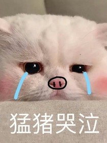 我还会活着，永远