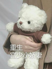 重生宫少小娇妻