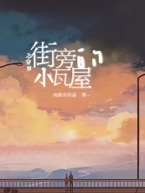 街旁的小瓦房之穿書