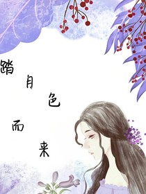 踏月色而来