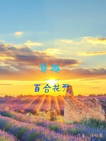 穿越——百合花开