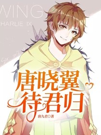 唐晓翼，待君归