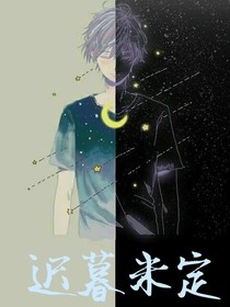 迟暮未定