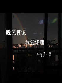 晚风有说我爱你嘛