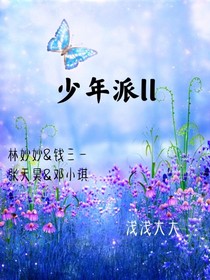少年派ll