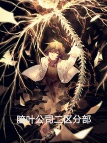 腦葉公司二區(qū)分部