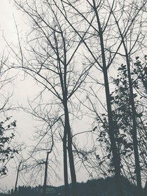 不问凌楚