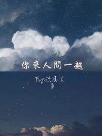 你來人間一趟