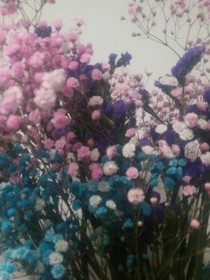 你是我是我的救赎