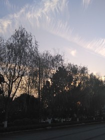 南皇二少的俘虏