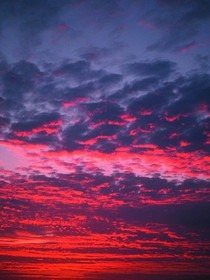 生長(zhǎng)在云朵里的星