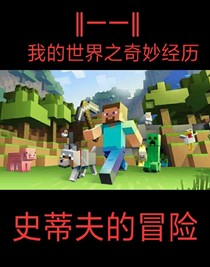 我的世界之奇妙经历
