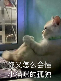 寒气逼婚