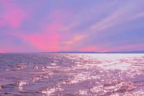 海归海