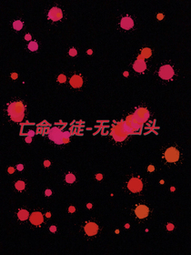 亡命之徒——不归路