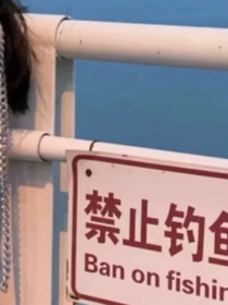 快穿之别扰我清净……