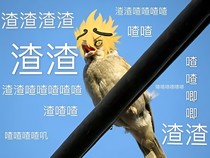 当欧皇的我穿越到凹凸