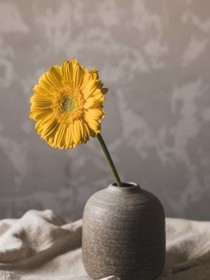 查九唐曉翼的小故事