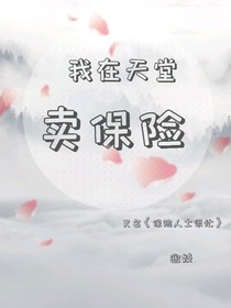 我在天堂賣保險
