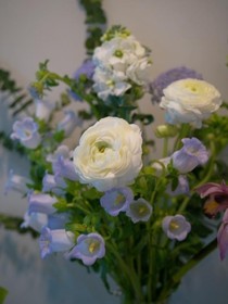 1花缘1