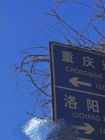 死对头竟然喜欢我！