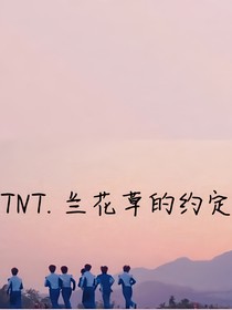 TNT兰花草的约定