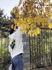 刘耀文：姐姐我们来做填空题吧