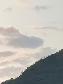 重生之愛上反派少爺