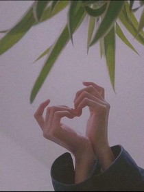 月光下的糖果屋