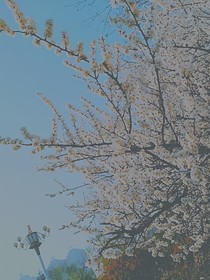 成个婚怎么那么难？