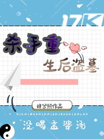 杀手重生后盗墓