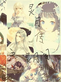 灵月传之灵月阁的那些事
