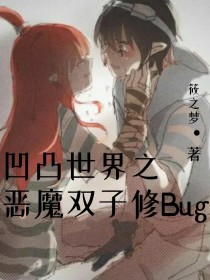 凹凸世界之恶魔双子修Bug