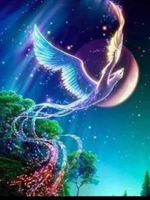 东方紫妍的复仇记兼恋爱记