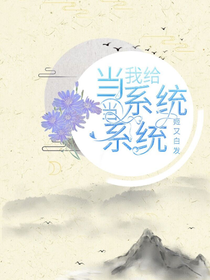 当我给系统当系统