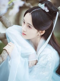 獨(dú)孤伽羅-d941