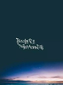 向往光明的飛鳥