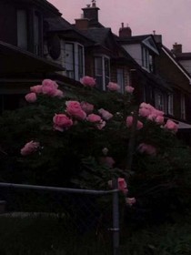 澈夜难眠