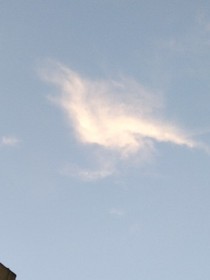 随便写的（不建议点开）