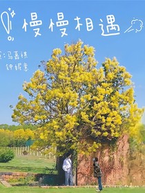 馬嘉祺：慢慢相遇呀