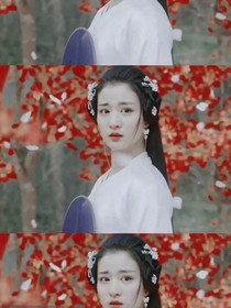 陈情令之一舞倾城