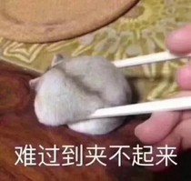 作者的更文時(shí)間