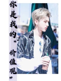 你是我的价值观