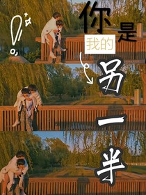 文轩：你是我的另一半