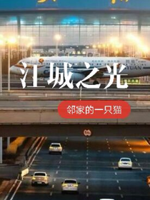 江城之光