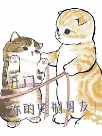 開(kāi)門(mén)！你的定制男友！