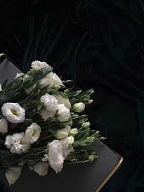 以愛為枳