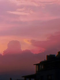 你好，河貍先生