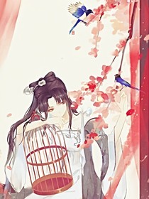 守候奇迹